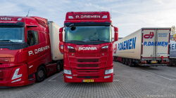 20251122-Daemen-00054